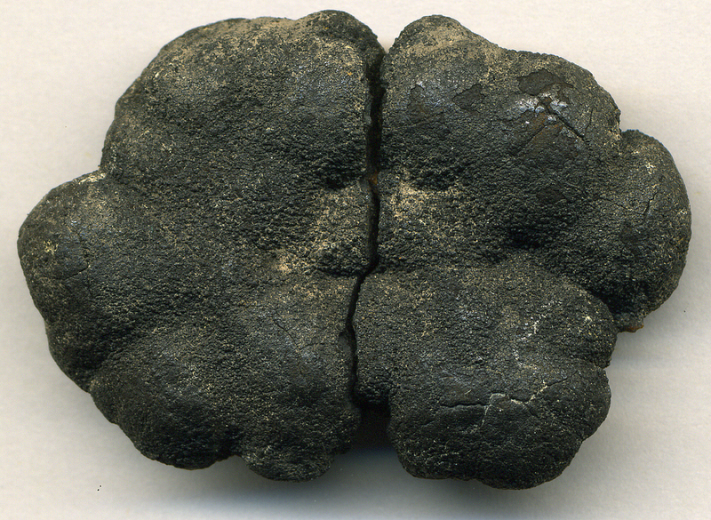 Seafloor manganese nodules like this one are rich in iron, nickel and cobalt. Image: James St. John/Flickr Creative Commons